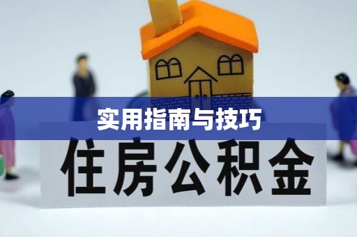 三湾实用指南与技巧