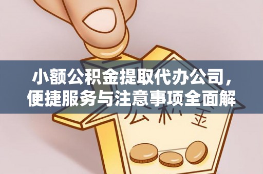 三湾小额公积金提取代办公司，便捷服务与注意事项全面解析