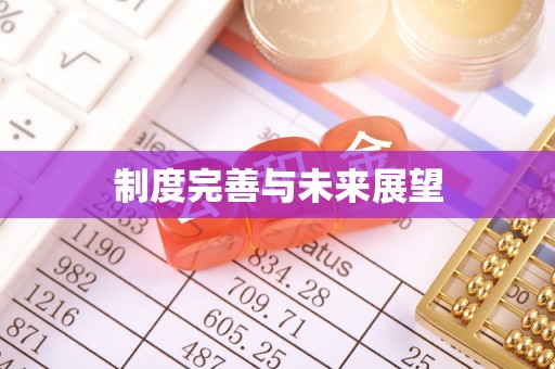 三湾制度完善与未来展望