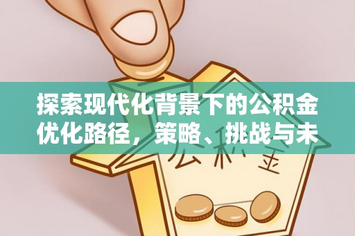 三湾探索现代化背景下的公积金优化路径，策略、挑战与未来展望