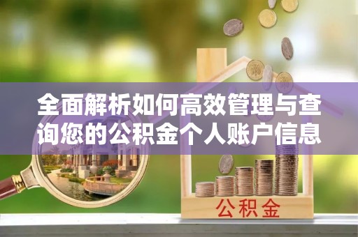三湾全面解析如何高效管理与查询您的公积金个人账户信息