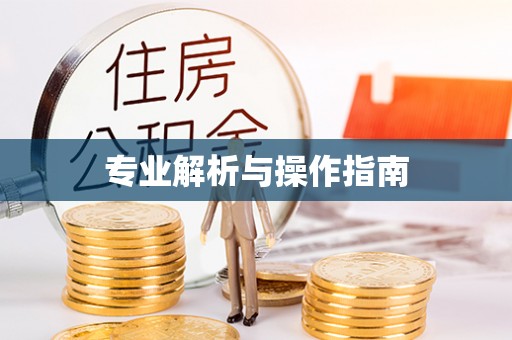 三湾专业解析与操作指南
